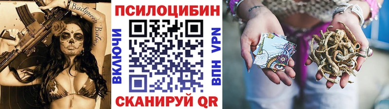 Псилоцибиновые грибы Psilocybe  Александровск 